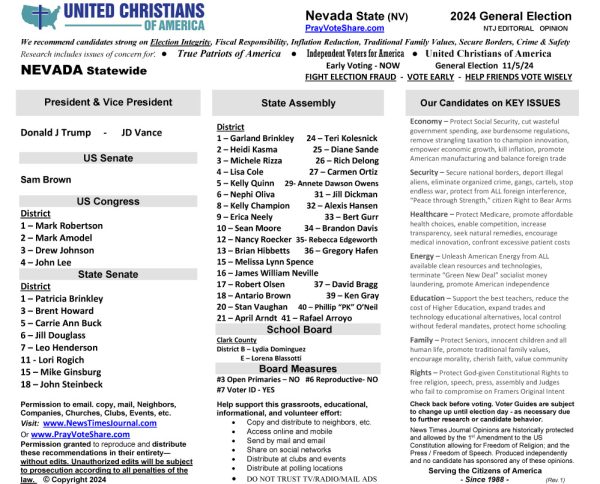 Voter Guide Sample Ballot Election Recommendations United