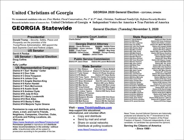 Georgia General Election Voter Recommendation Guide 2020 - Florida Voting